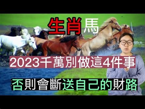 屬馬的財位|屬馬的辦公室布局，注意事項有哪些？